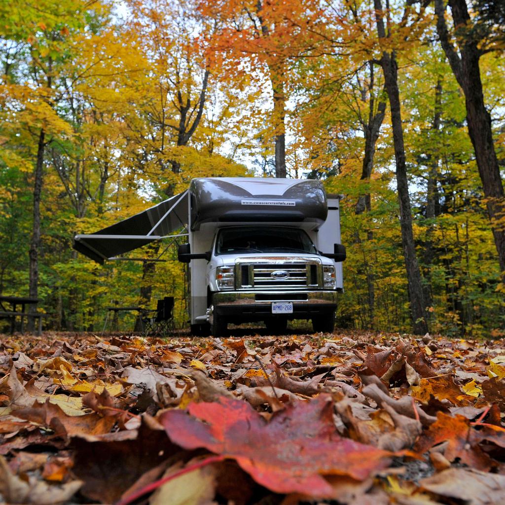 Input image for: Remove the camper van and make the forest seamless.